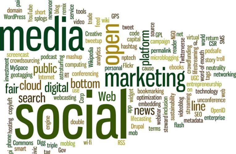 Organic traffic – ruch organiczny